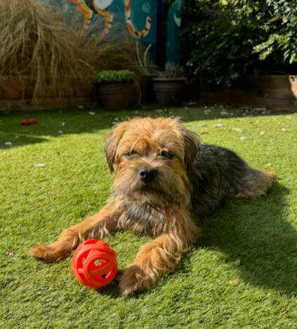 Play Time